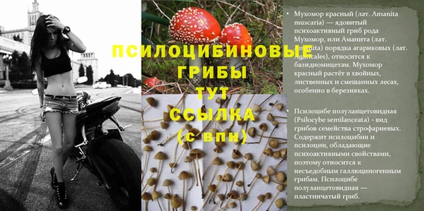 мефедрон мука Дмитровск