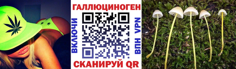 Купить закладки  Тутаев  Псилоцибиновые грибы прущие грибы 